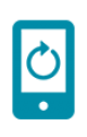 Smartphone Factory Reset